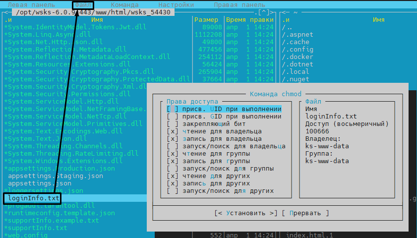 loginfo