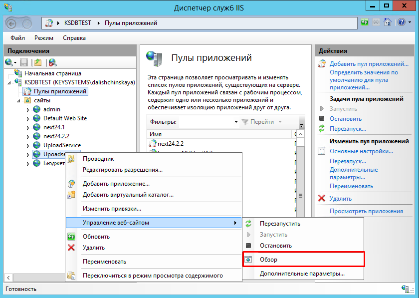 iis-review